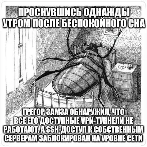 Грегор Замза без VPN-доступа