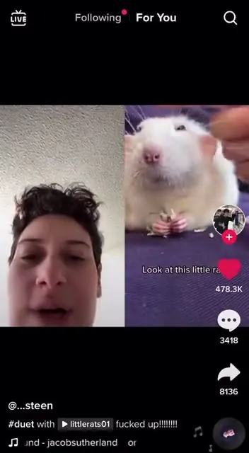 Look at This Little Rat