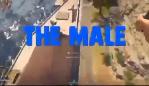 Fellas Attached to Particles