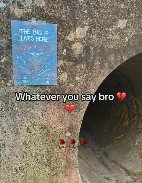Whatever You Say Bro