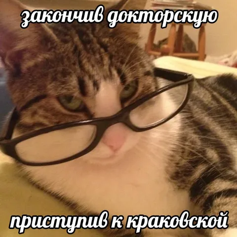 Кот закончил докторскую