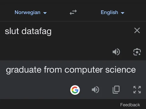 Google oversetter datafag feil