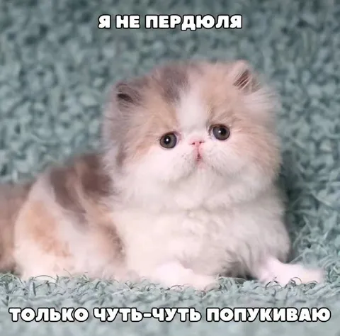 Я не пердюля