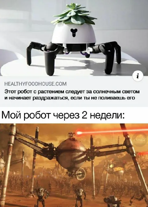 Робот через две недели