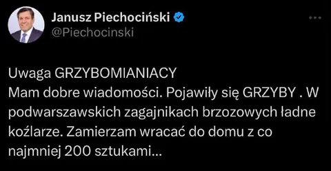 Grzyby w podwarszawskich zagajnikach