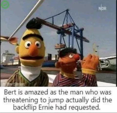 Bert Is Amazed by the Backflip