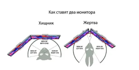 Как ставят два монитора