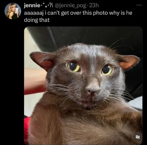 Why Is He Doing That