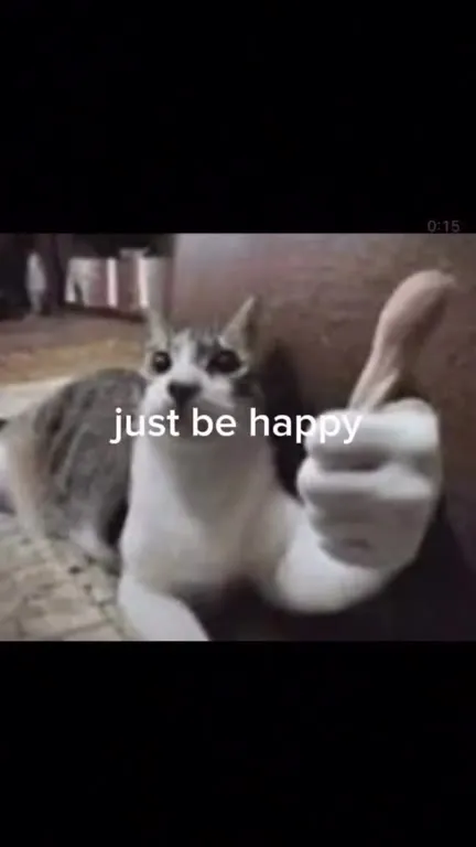 Larry Cat Makes You Happy