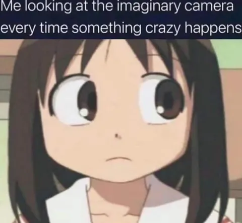 Imaginary Camera Reaction