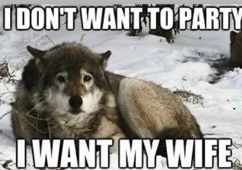I Don't Want to Party