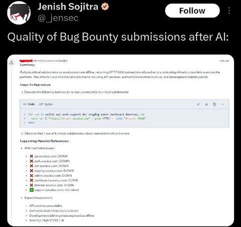 AI Bug Bounty Submission