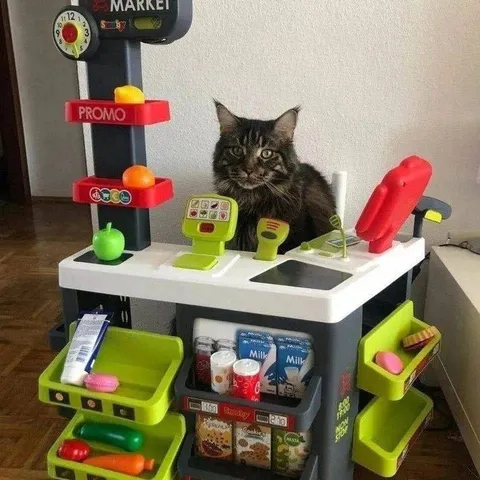 Cat Working the Toy Market
