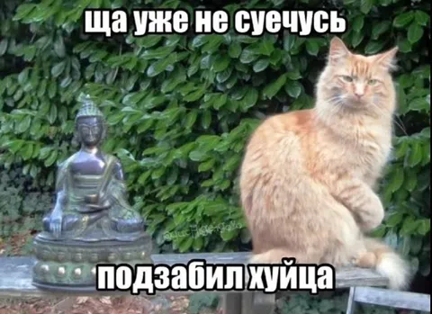 Ща уже не суечусь