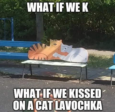 What If We Kissed on a Cat Lavochka