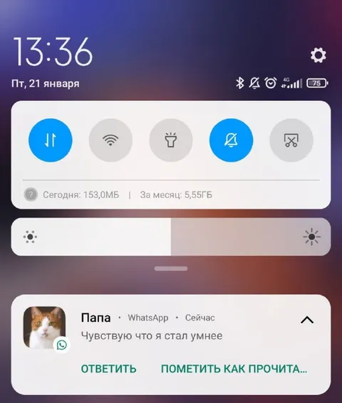 Папа стал умнее