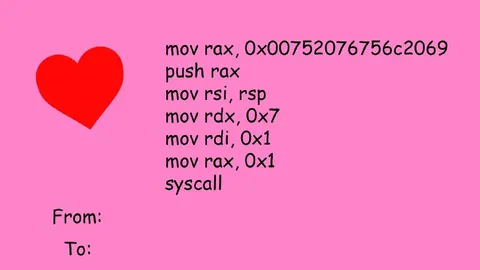 Assembly Code Valentine