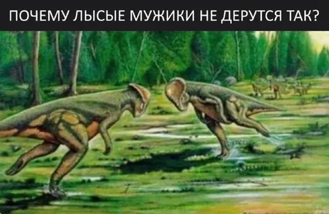 Почему лысые мужики не дерутся так