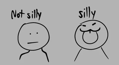 Not Silly vs Silly