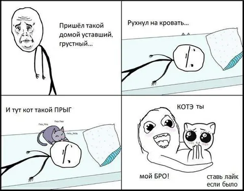 Кот прыгнул на кровать