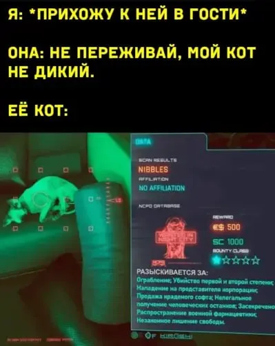 Мой кот совсем не дикий