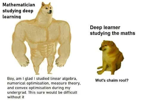 Buff Doge and Cheems Study Maths