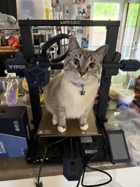 Кот на 3D-принтере
