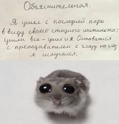 Стадный инстинкт на последней паре