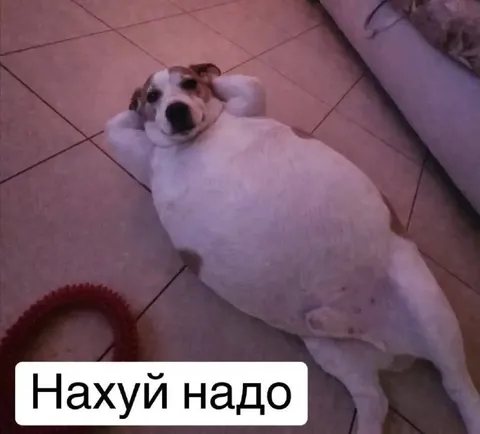 Нахуй надо