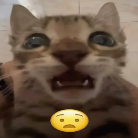 Ошарашенный кот с эмодзи