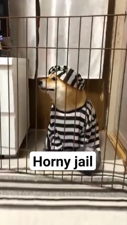 Dog in Horny Jail