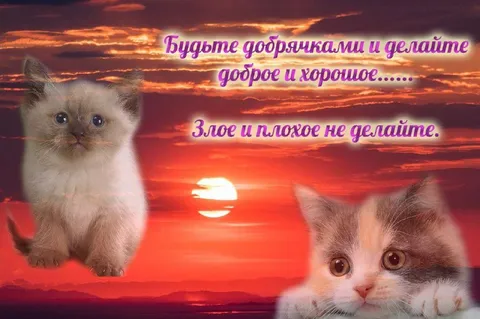 Будьте добрячками и делайте добро