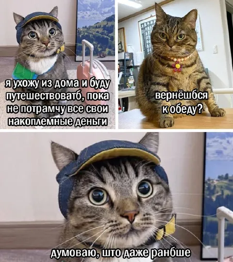 Кот уезжает путешествовать