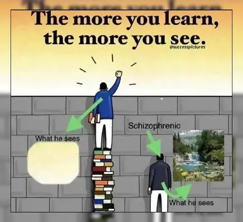 The More You Learn, The More You See