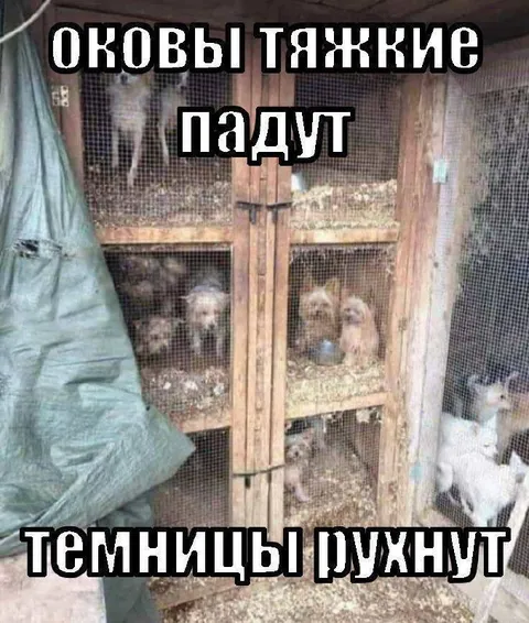 Оковы тяжкие падут