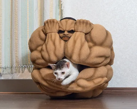 Мускулистый защитник котёнка