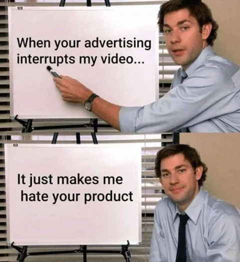 Advertising Interrupts My Video