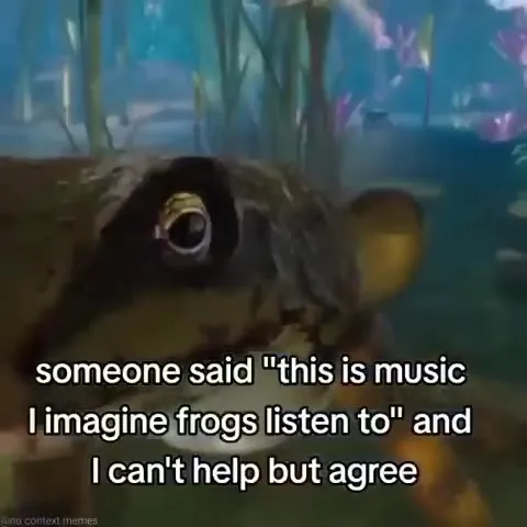 Frog Agrees This Is Music