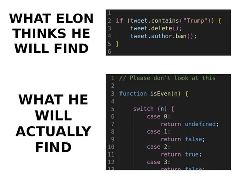 What Elon Thinks He Will Find
