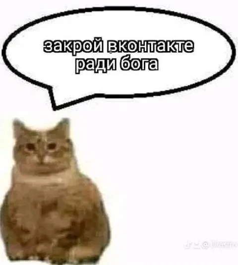 Кот просит закрыть ВКонтакте
