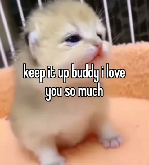 Keep It Up Buddy