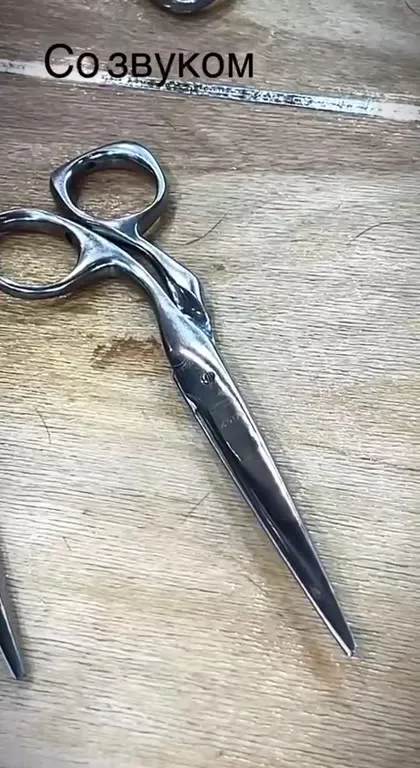Ножницы за 167 тысяч