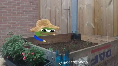 Пепе тайком сажает цветы