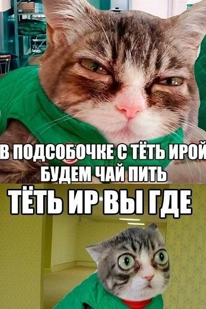 Тётя Ира, вы где?