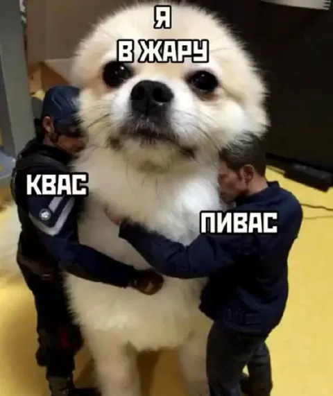 Я в жарчу: квас и пивас