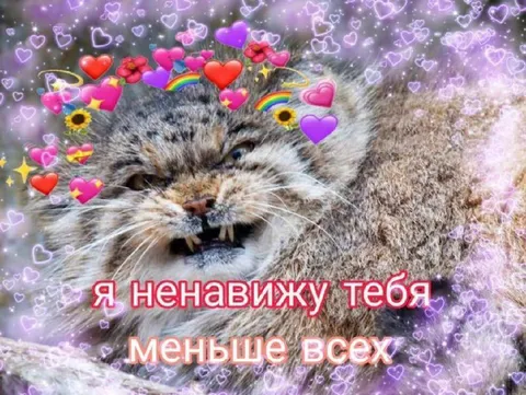 Я ненавижу тебя меньше всех