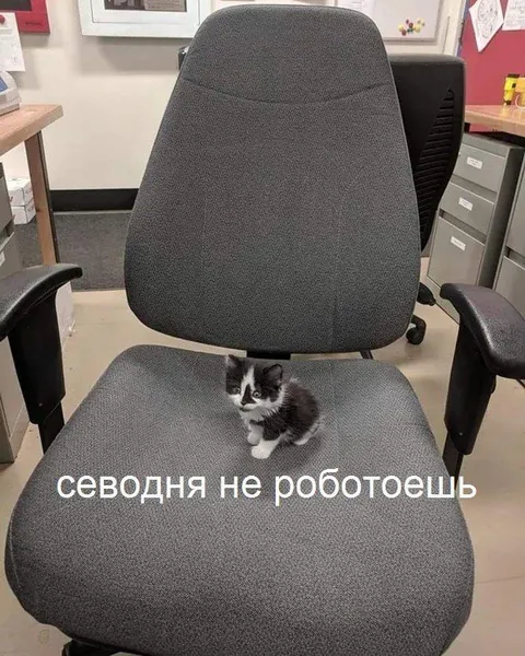 Сегодня не работаешь