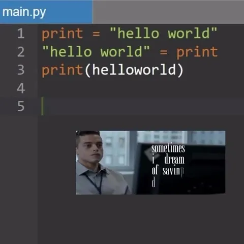 Hello World Programmer Escapes Reality