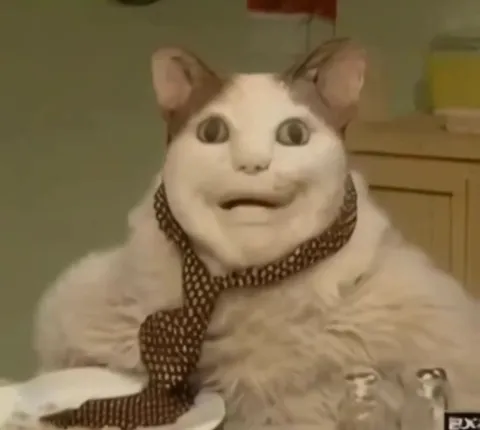 Зловещая долина с котом