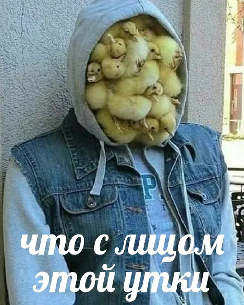 Что с лицом этой утки